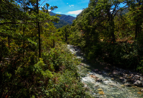La Cuenca del Río Puelo, un rincón escondido de la Patagonia