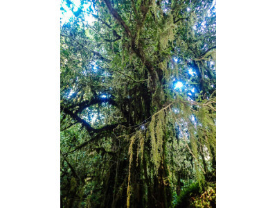 Parque Tagua Tagua
