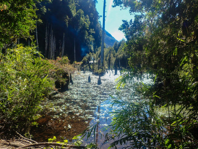 Parque Tagua Tagua