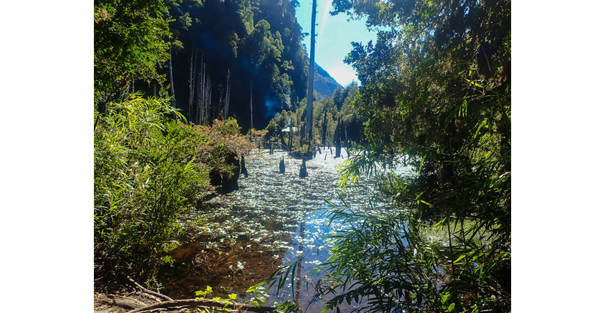 Parque Tagua Tagua