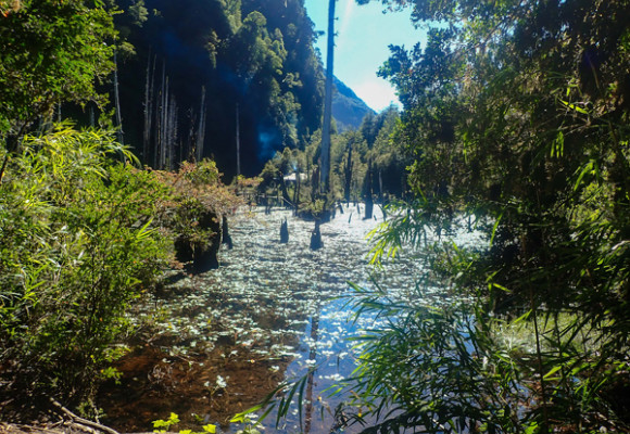 Parque Tagua Tagua