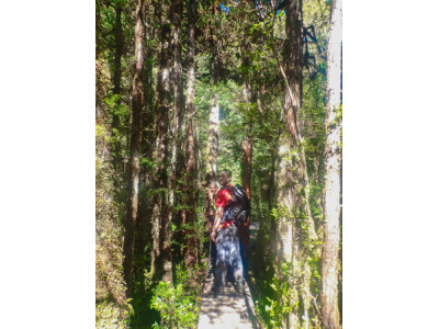 Parque Tagua Tagua