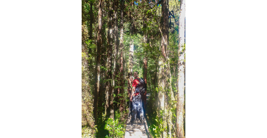 Parque Tagua Tagua