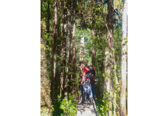 Parque Tagua Tagua