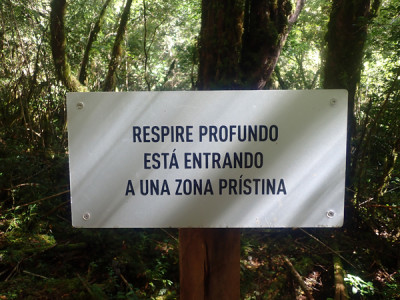 Parque Tagua Tagua