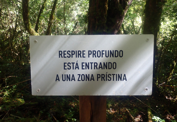 Parque Tagua Tagua