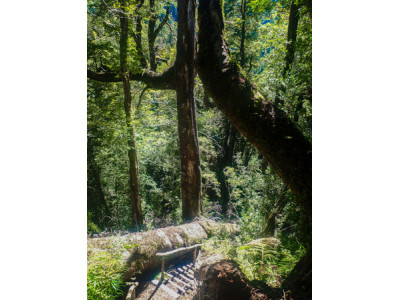 Parque Tagua Tagua