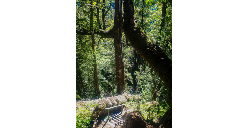 Parque Tagua Tagua