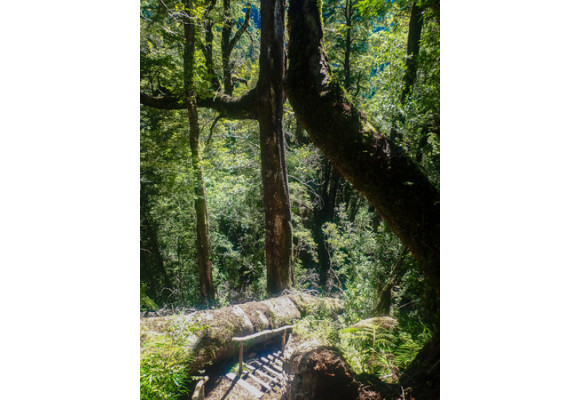 Parque Tagua Tagua