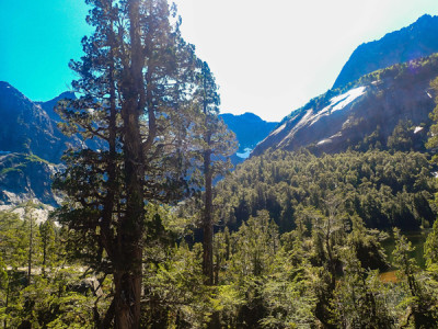 Parque Tagua Tagua
