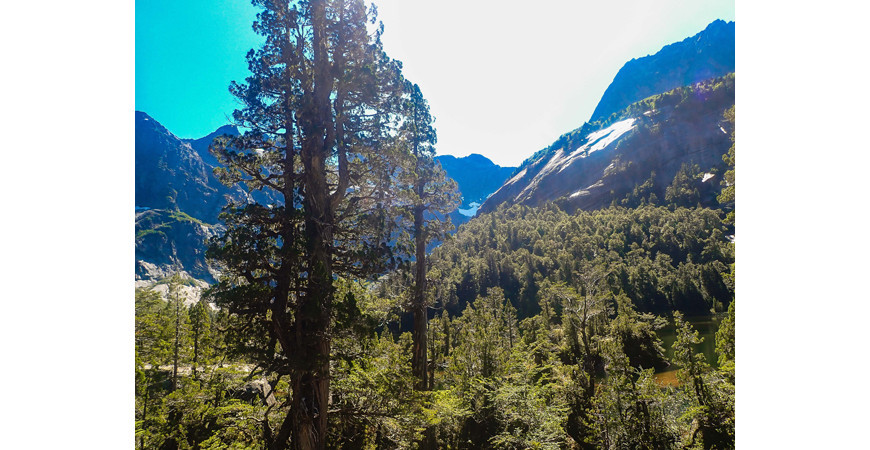 Parque Tagua Tagua