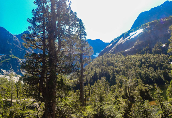 Parque Tagua Tagua