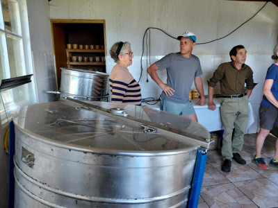 Península de Huequi