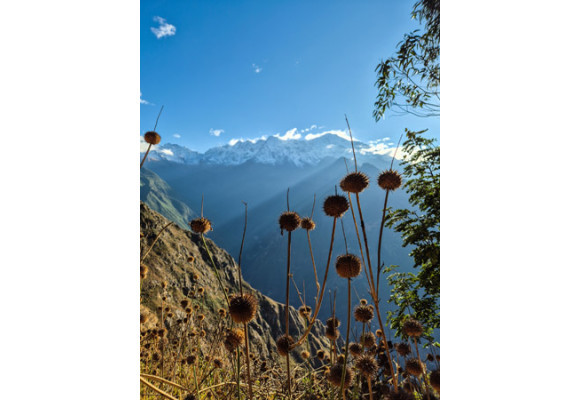 Choquequirao: El último refugio Inca