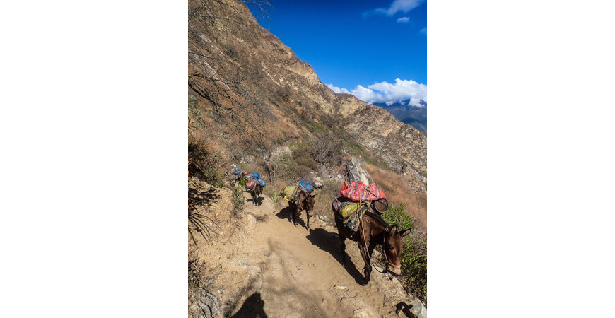 Choquequirao: El último refugio Inca