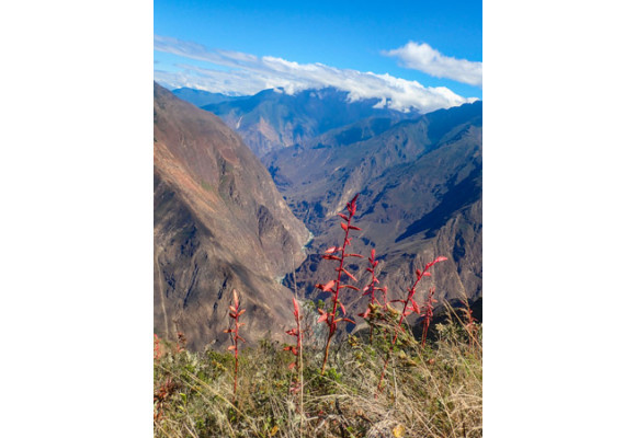 Choquequirao: El último refugio Inca