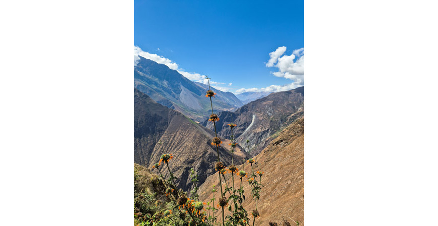 Choquequirao: El último refugio Inca
