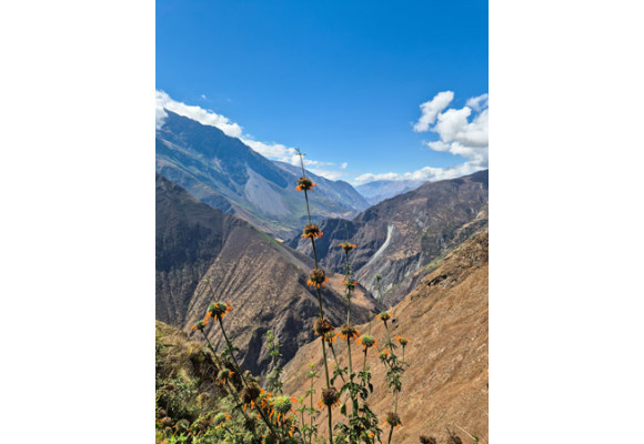 Choquequirao: El último refugio Inca