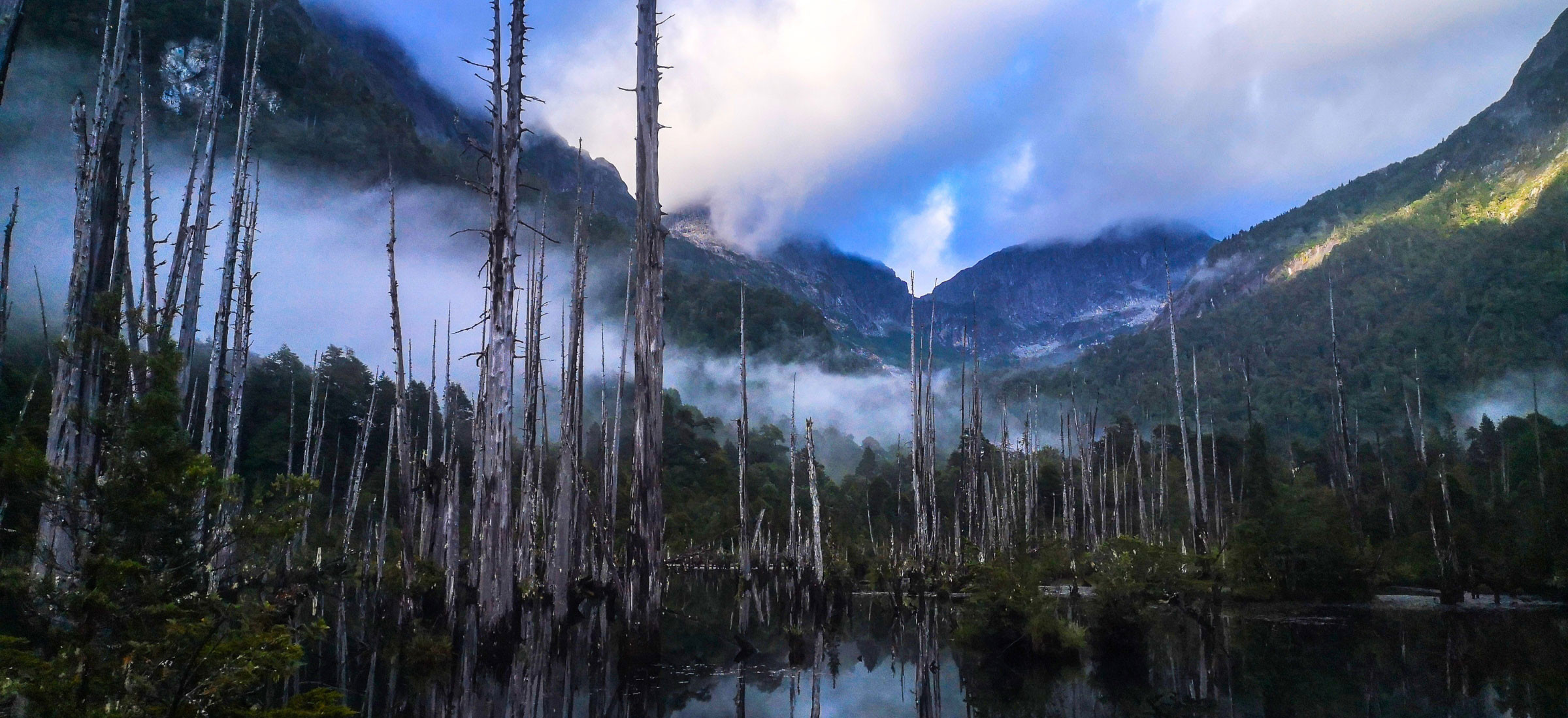 Laguna Alerce - Parque Tagua Tagua con Outsoul Trips